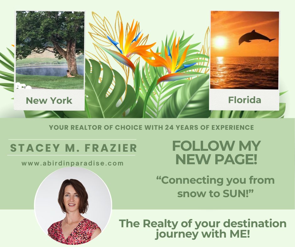 Stacey Frazier - Paradise Exclusive
